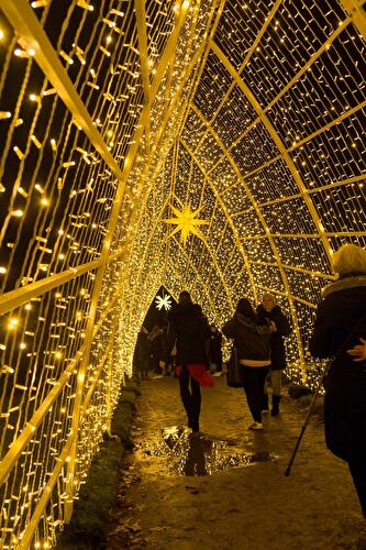 Christmas Garden 2019 (13)