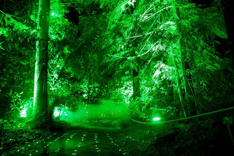 Christmas Garden 2019 (10)