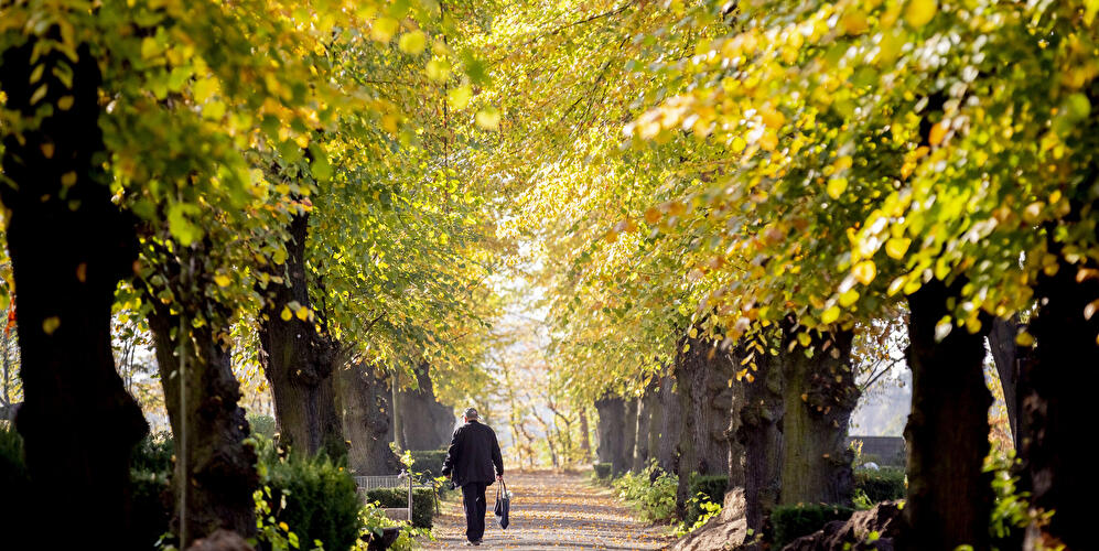 New Twelve Apostles Cemetery in Berlin-Schöneberg