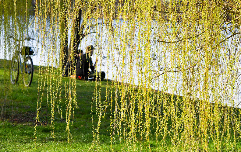 Treptower Park