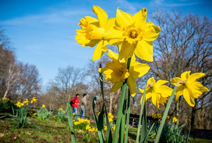 Frühlingserwachen im Tiergarten