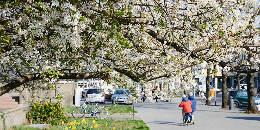 Spring in Schöneberg