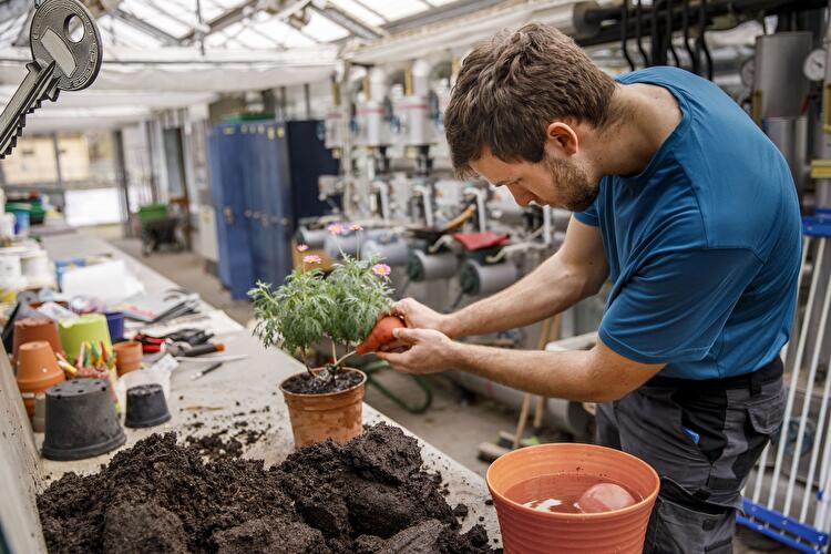 Gartenarbeitsschule Neukölln (4)