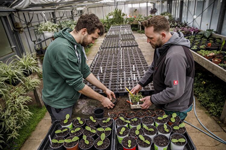 Gartenarbeitsschule Neukölln (2)