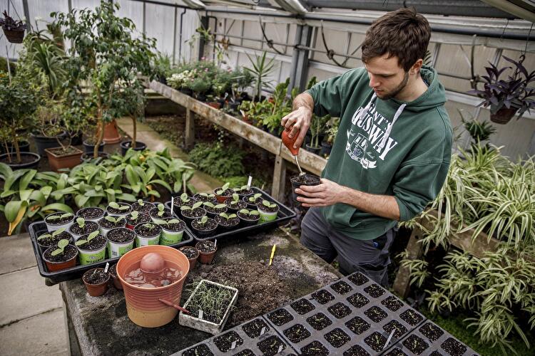 Gartenarbeitsschule Neukölln (5)