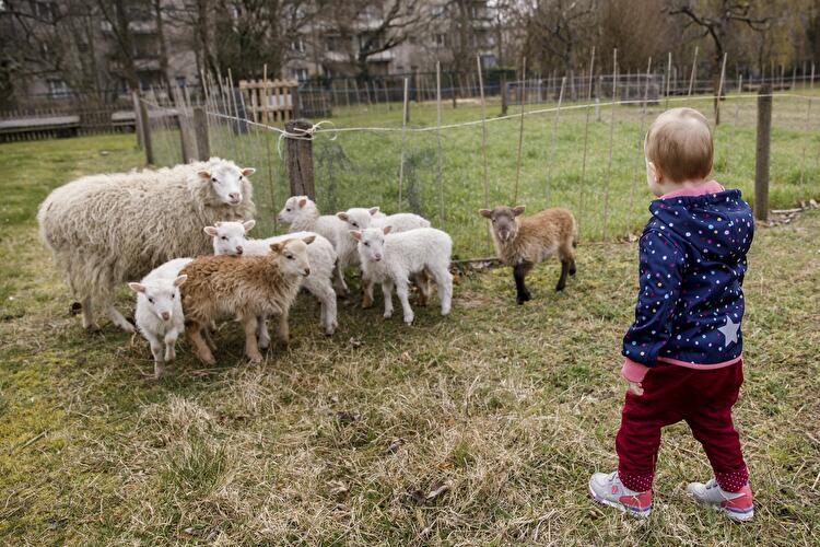 Gartenarbeitsschule Neukölln (3)