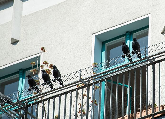 Kunst auf Berliner Balkonen (5)