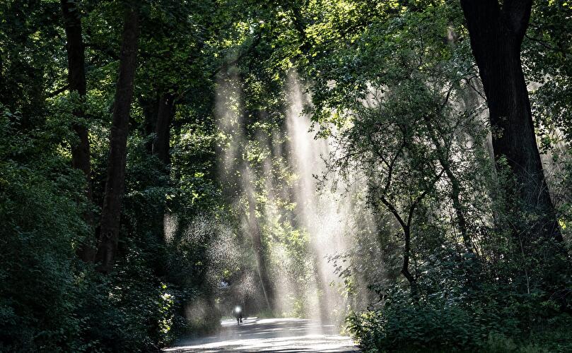 Morgenstimmung Berlin (6)