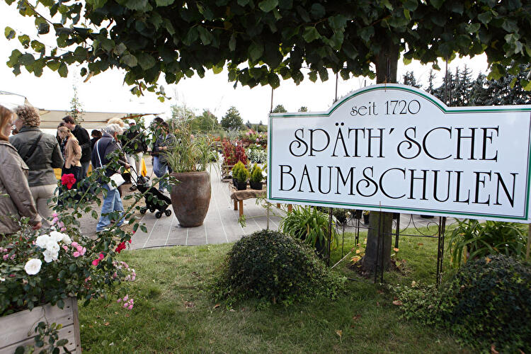 Späth'sche Baumschulen (4)