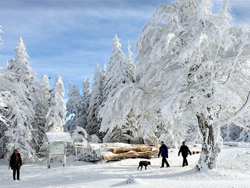Wintermärchen im Hochschwarzwald