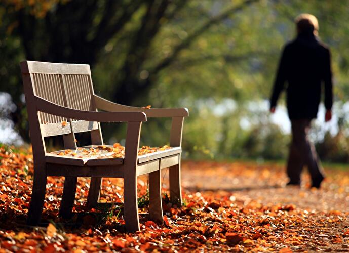 Berlindian Summer: Goldener Herbst in Berlin (4)