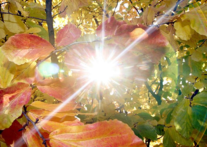 Berlindian Summer: Goldener Herbst in Berlin (3)