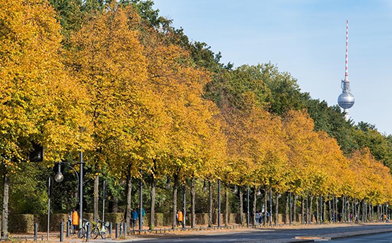 Berlindian Summer: Goldener Herbst in Berlin (10)
