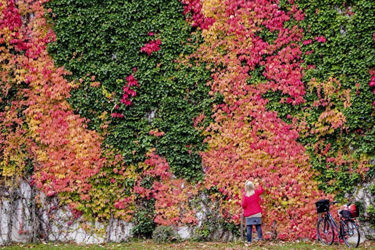 Berlindian Summer: Goldener Herbst in Berlin (12)