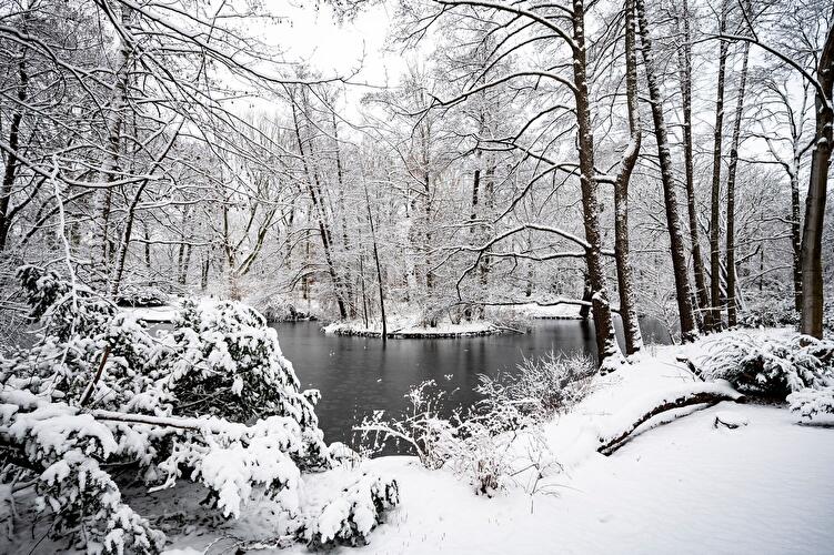Winter in Berlin