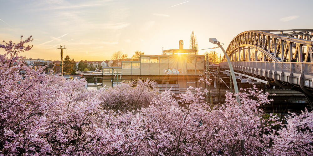 Bösebrücke im Frühling