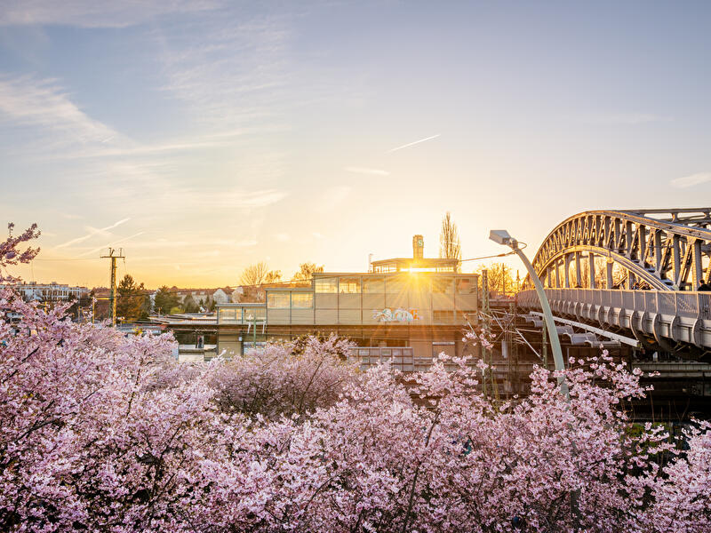 Bösebrücke im Frühling