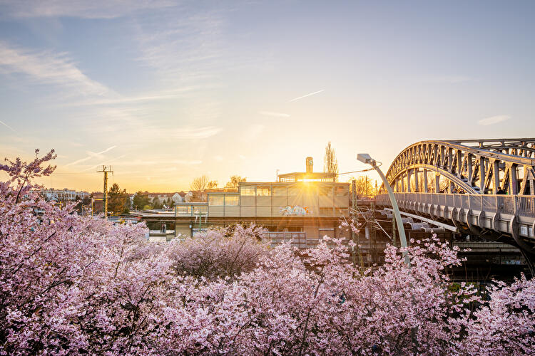 Bösebrücke im Frühling