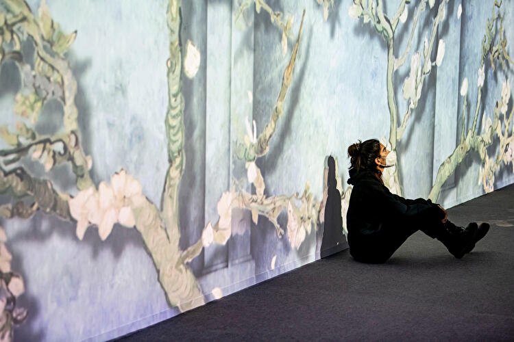 Van Gogh - The Immersive Experience (5)