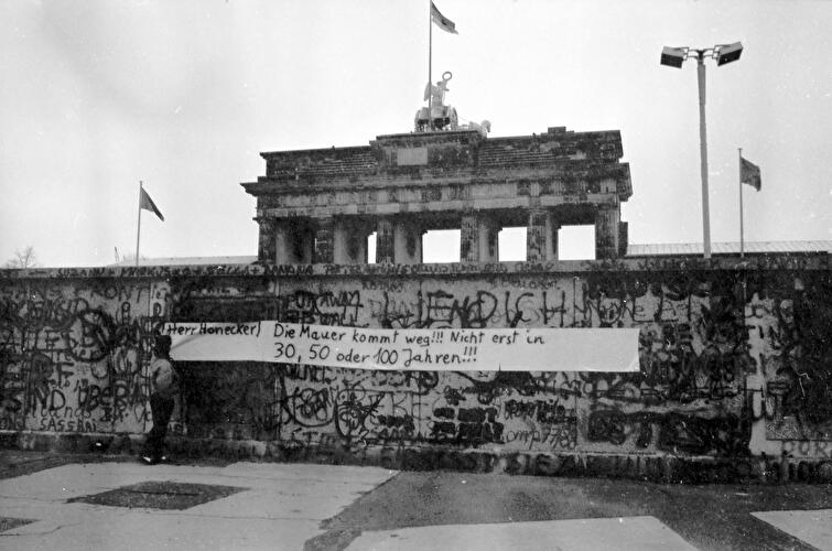 Mauerbau (4)