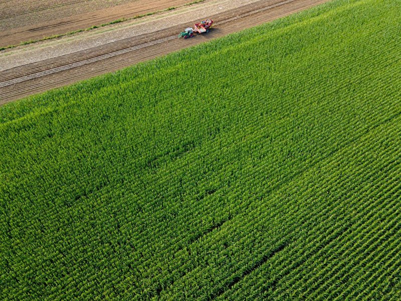 Landwirtschaft