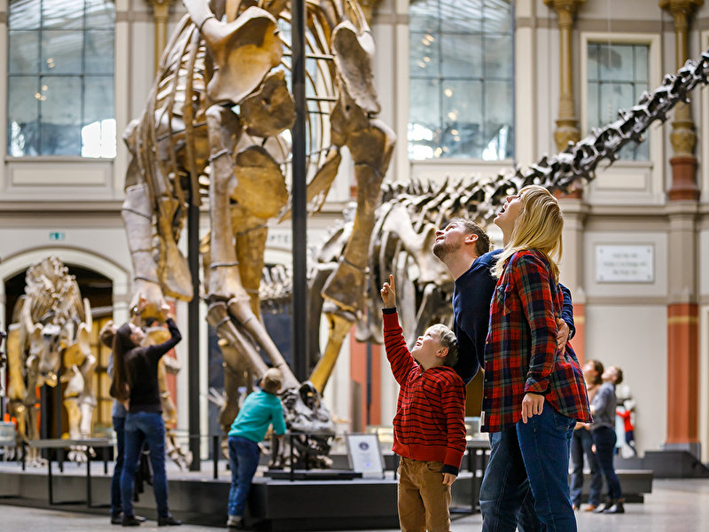 Museum für Naturkunde (2)