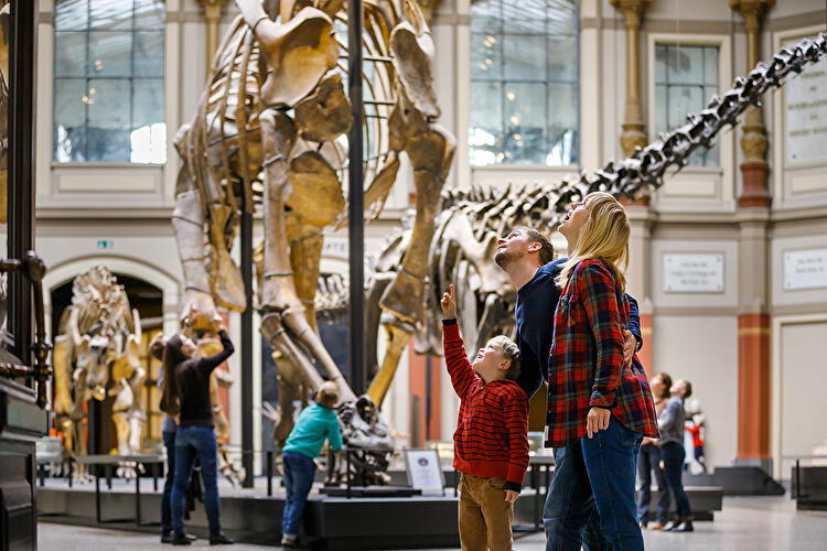 Museum für Naturkunde (2)