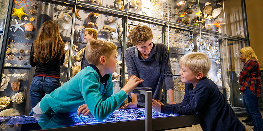 Museum für Naturkunde (3)