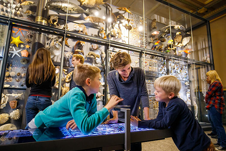 Museum für Naturkunde (3)
