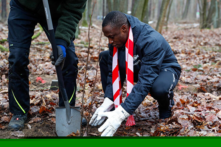 Projekt Waldmeister (4)
