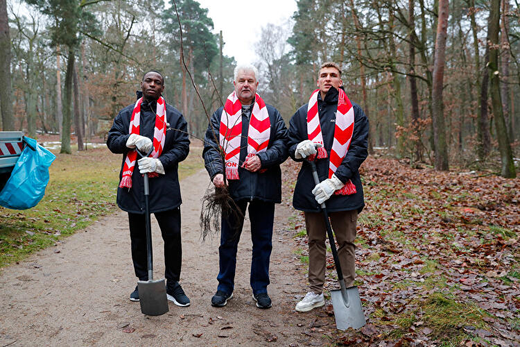 Projekt Waldmeister (2)