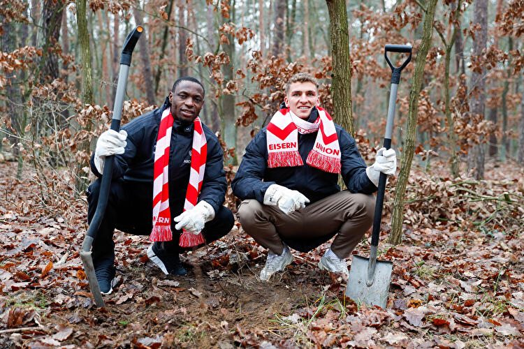 Projekt Waldmeister (5)