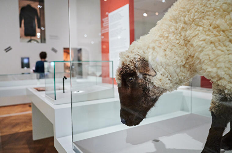 Karl Marx und der Kapitalismus (5)