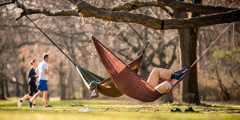 Spring awakening at the Tiergarten