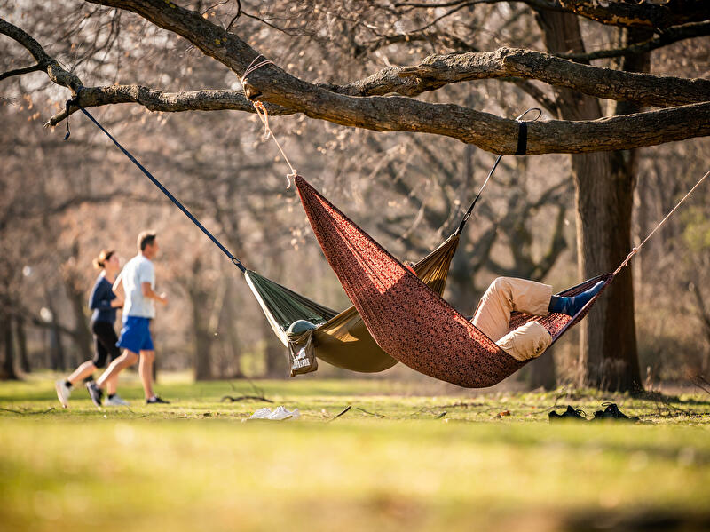 Spring Awakening at the Tiergarten