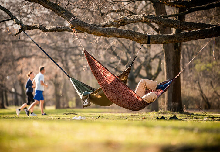 Tiergarten in the spring