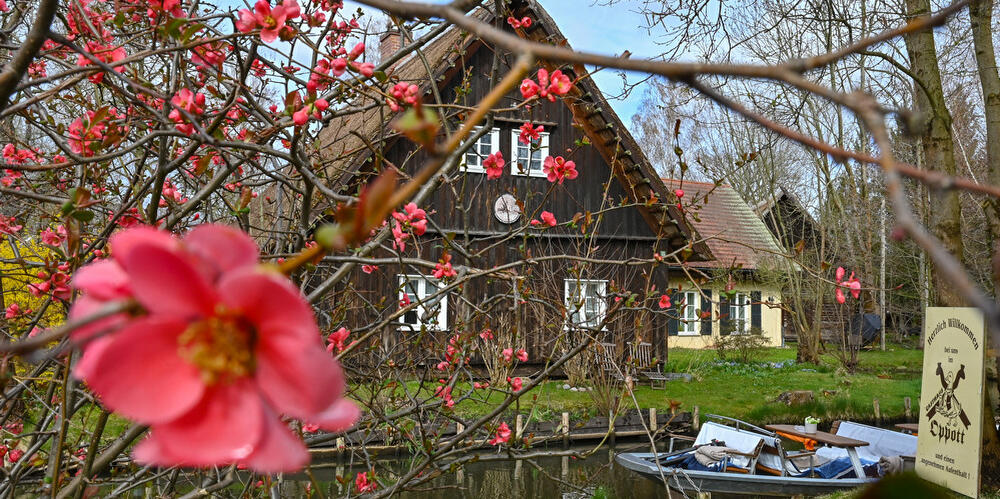 FrÃ¼hling im Spreewald