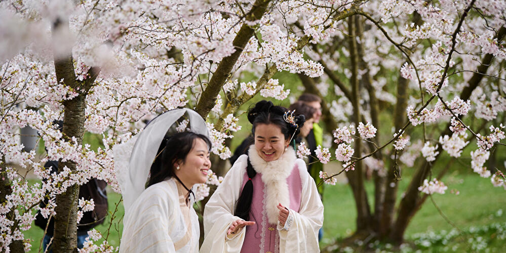 Cherry Blossom Festival in the Gardens of the World