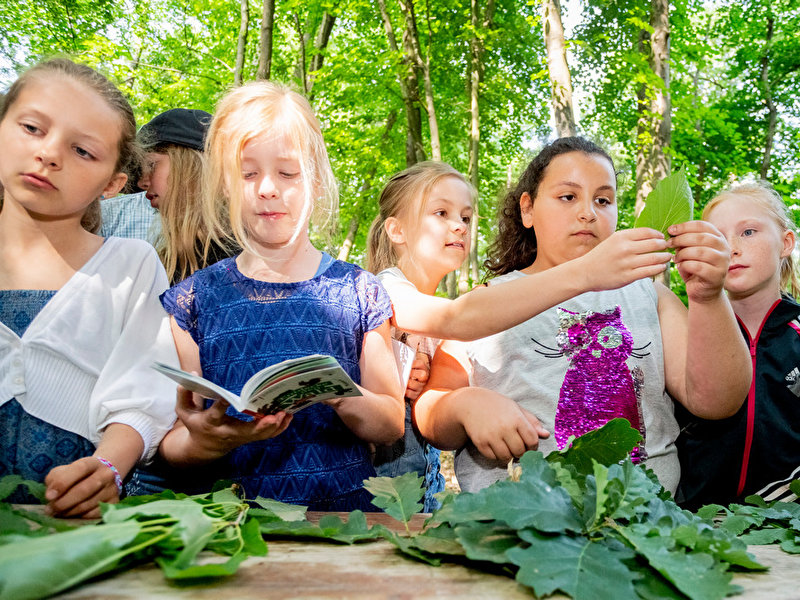 Wochenend-Tipps für Kids – Berlin.de