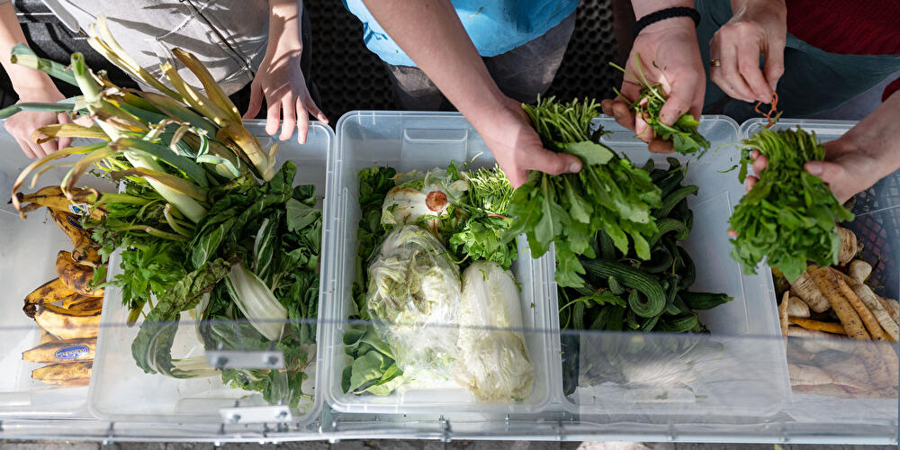 Foodsharing