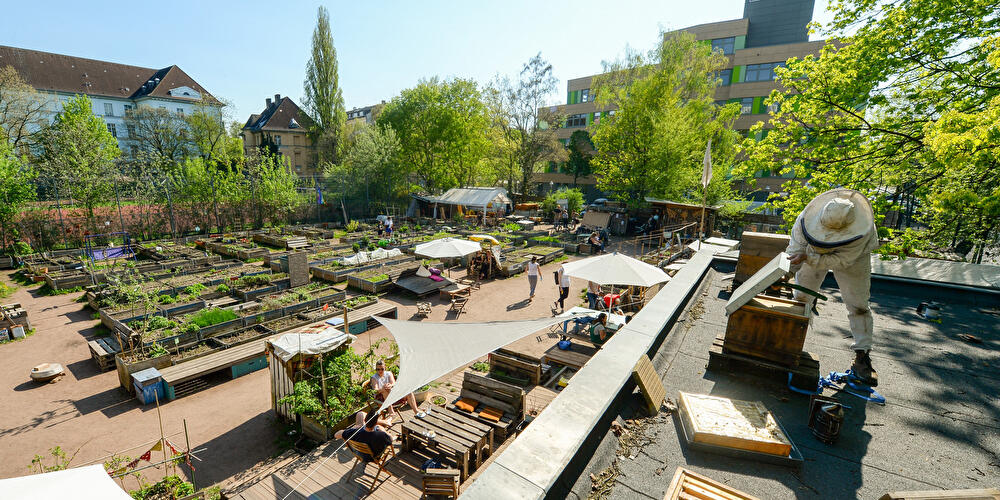 Himmelbeet community garden in Wedding