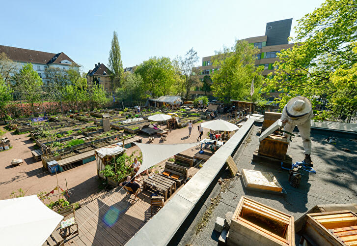 Gemeinschaftsgarten Himmelbeet in Wedding