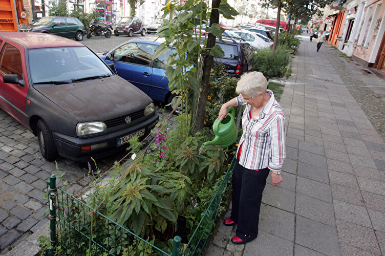 BUND prämiert schönste Baumscheibe