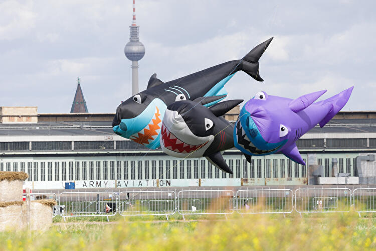 Festival der Riesendrachen 2022 (3)