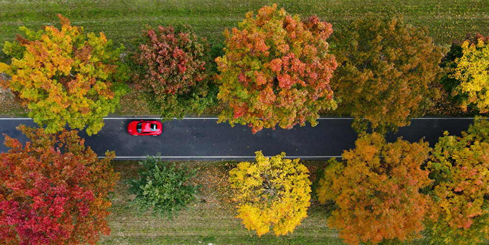 Herbstfarben in Brandenburg