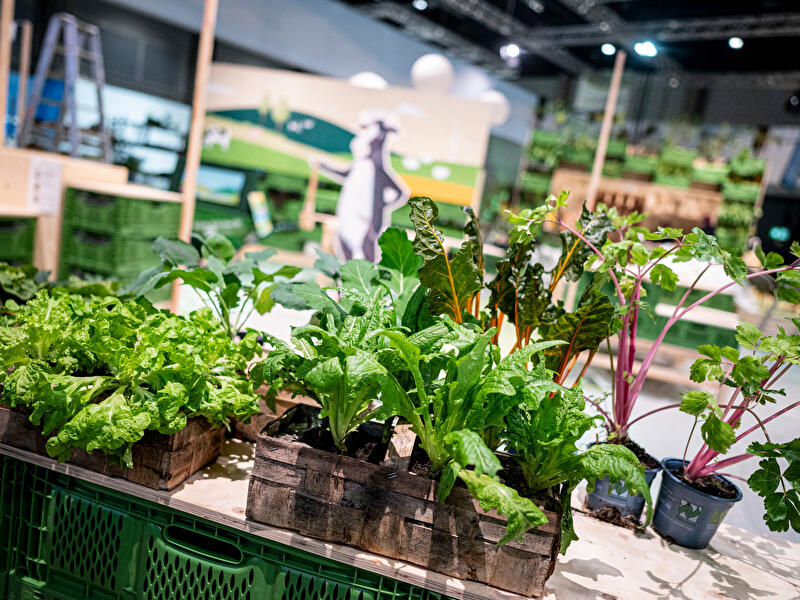 Grüne Woche 2023 (2)