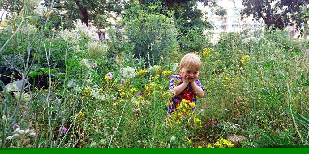 Langer Tag der StadtNatur (3)