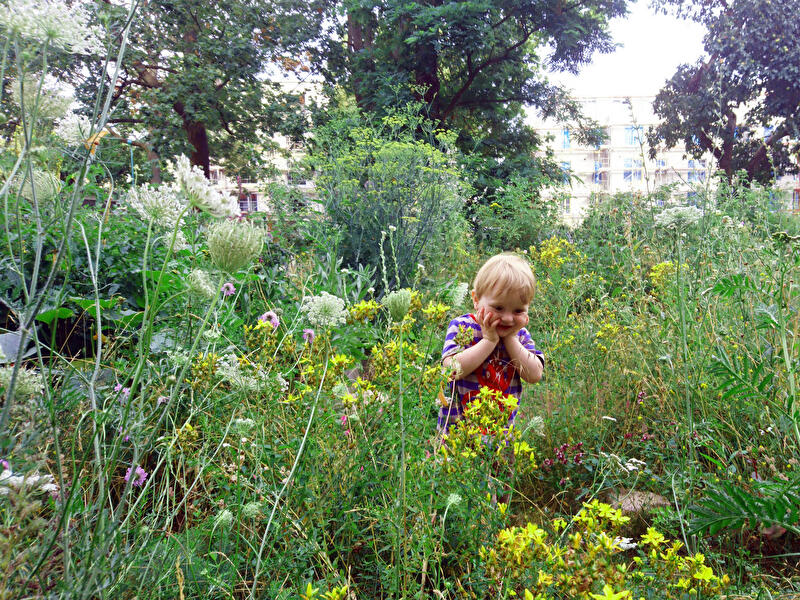 Langer Tag der StadtNatur (3)