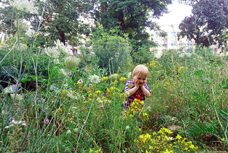 Langer Tag der StadtNatur (3)