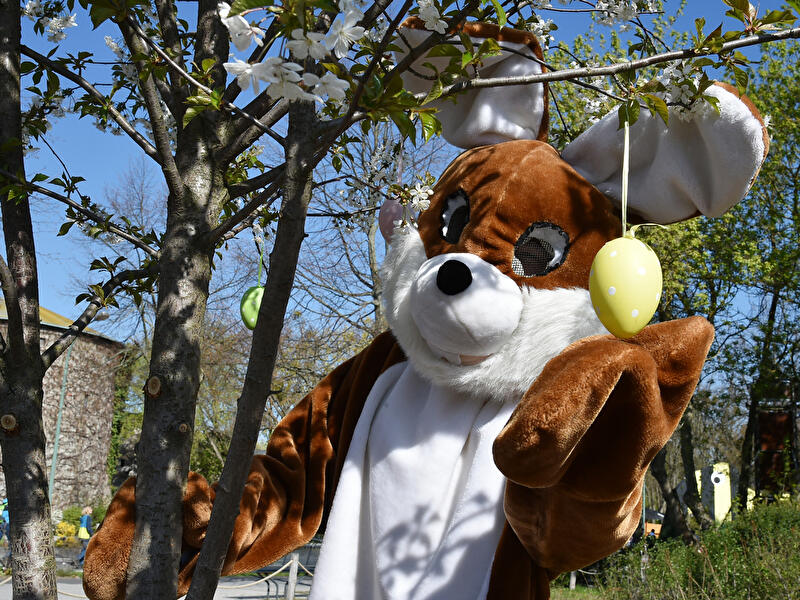 Osterhase im Filmpark Babelsberg